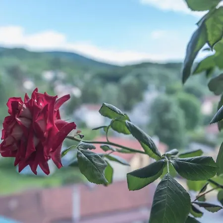 Apartament Onore Dell Sa Djakuzijem *