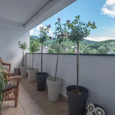 Onore Dell Sa Djakuzijem Banja Koviljača