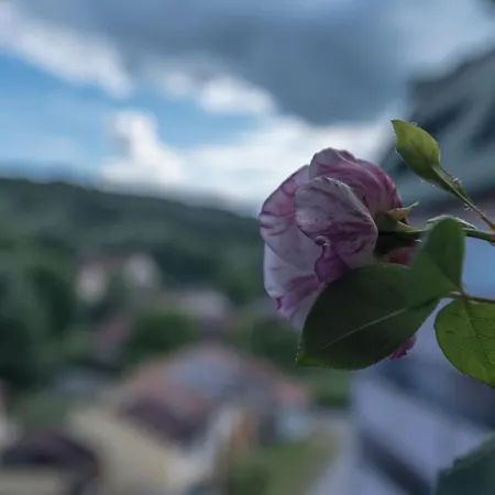 Onore Dell Sa Djakuzijem Apartament *