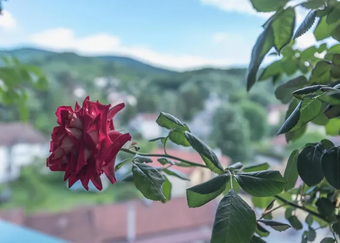 아파트 Onore Dell Sa Djakuzijem *