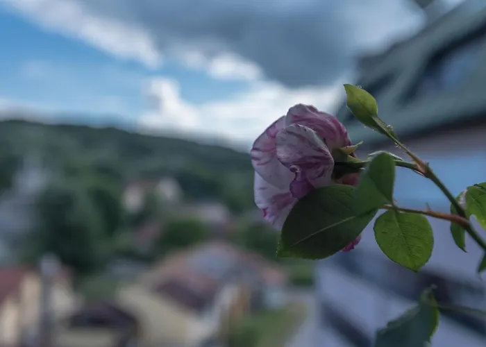 Onore Dell Sa Djakuzijem 아파트 *